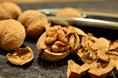 walnuts-932080_400.jpg