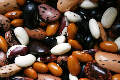 beans-1001032_400.jpg