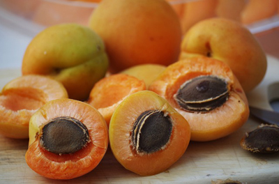 apricots-1502169_400.jpg