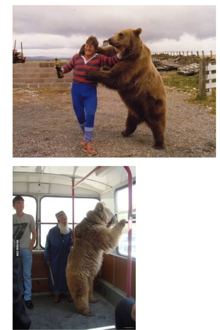 þư.png