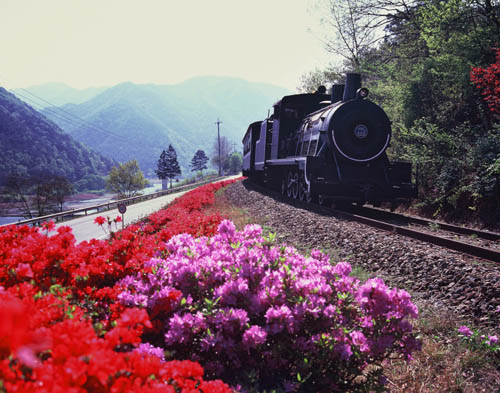 ���� ö��.jpg